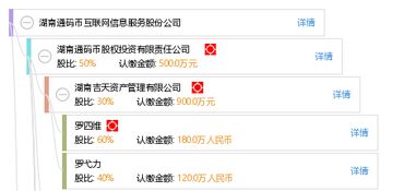 湖南通码币互联网信息服务股份公司 在数字经济浪潮中的信息服务引领者